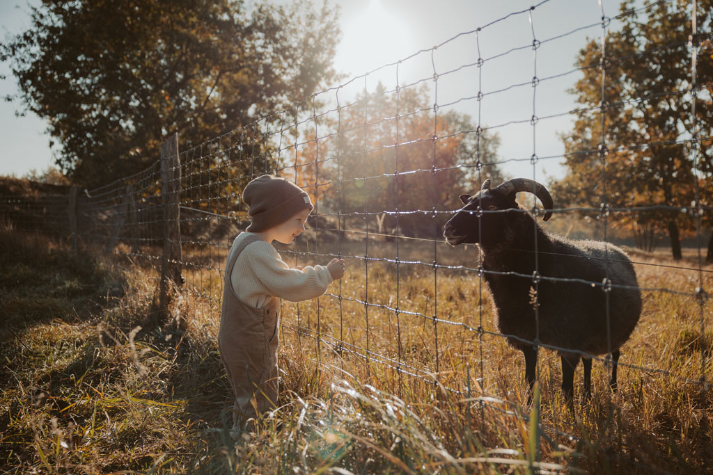 Mama Sohn fotos in Berlin Karlshorst mit mir als Fotografin und Familienfotografin. wir haben uns die Schafe im biesenhorster Sand angeguckt und währenddessen toll fotos von Mama und Kind gemacht.